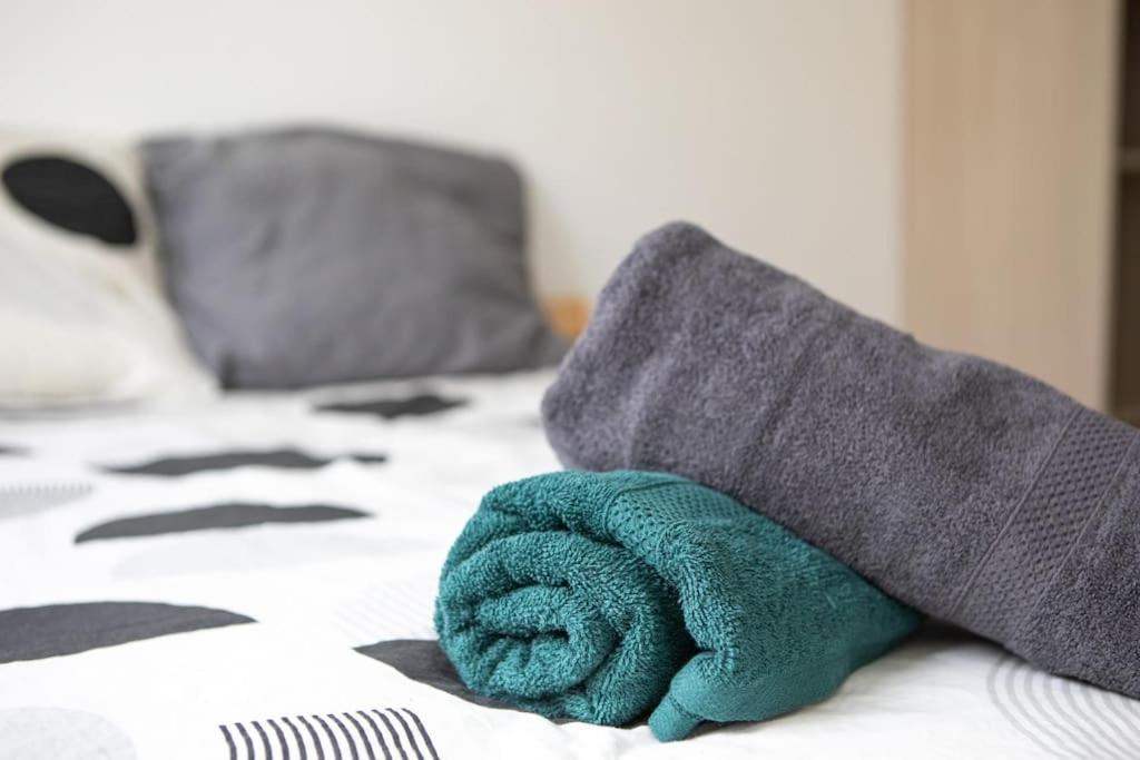 Suite Lumineux Et Moderne, Parking Gratuit, Mulhouse Centre Екстер'єр фото